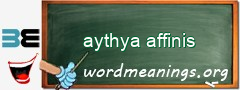 WordMeaning blackboard for aythya affinis